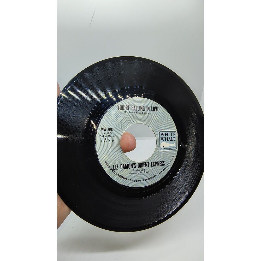 Liz Damon's Orient Express - Your Falling In Love / 1900 Yesterday - 45 Record